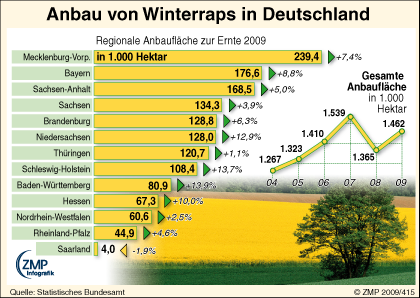 2009_04_06_zmpinfografik_415_Aussaatflaechen_Raps_D-2009