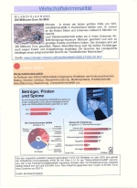 Wirtschaftskriminalitt