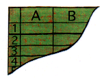 Tabellenkalkulation