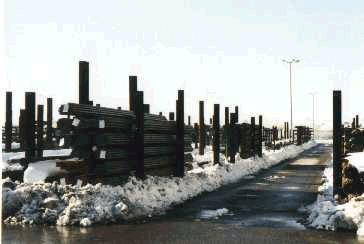 Hirsch5